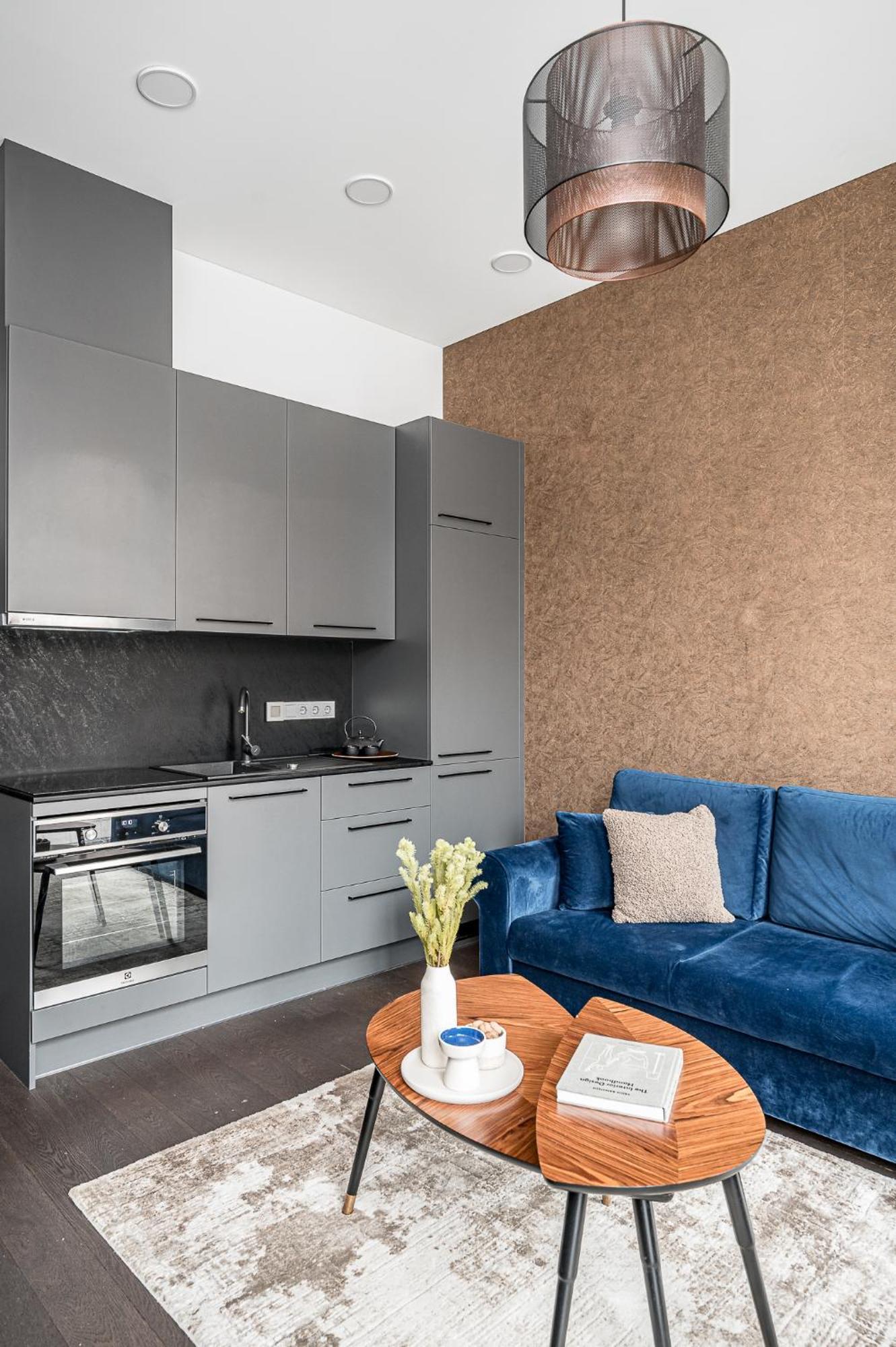 Old Town Renessaince 5 Apartment Vilnius